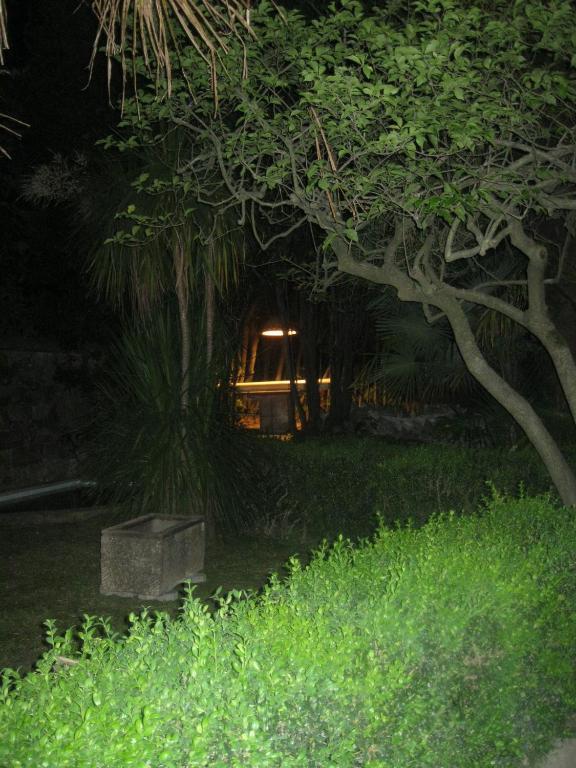 Villa Patrizia B&B Lucca Dış mekan fotoğraf