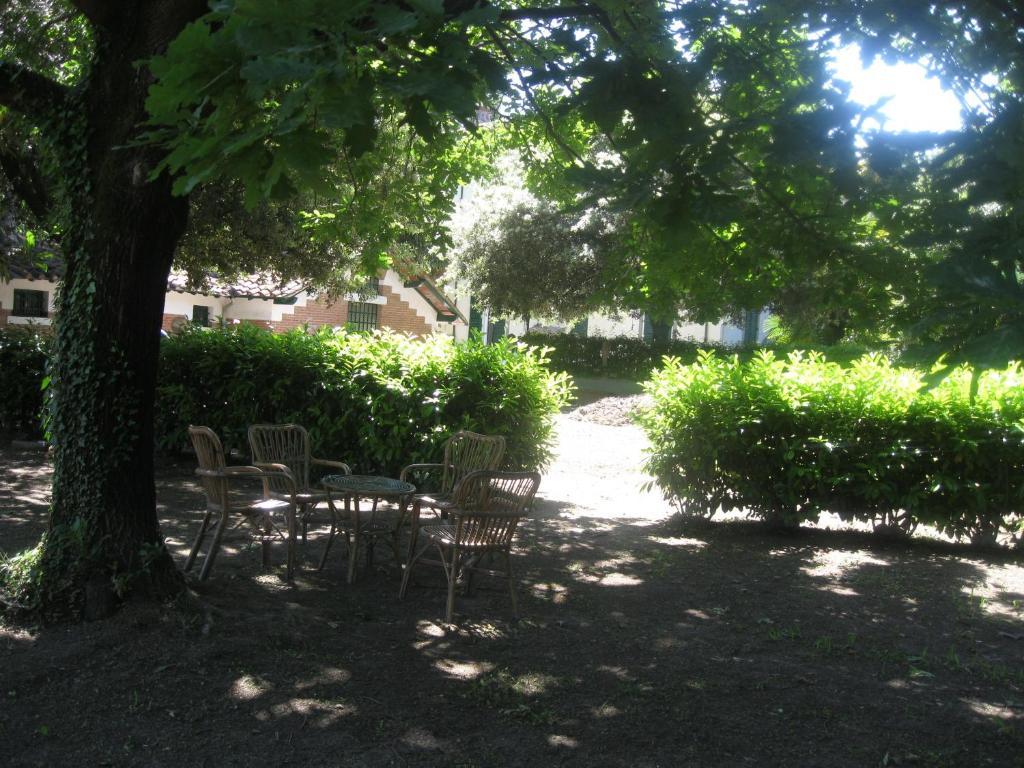 Villa Patrizia B&B Lucca Dış mekan fotoğraf