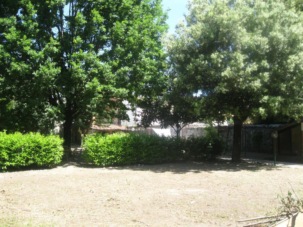 Villa Patrizia B&B Lucca Dış mekan fotoğraf